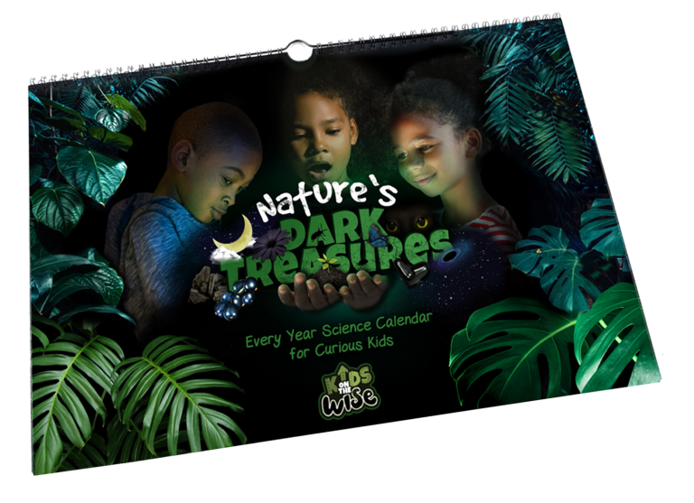 The Making of Nature’s Dark Treasures